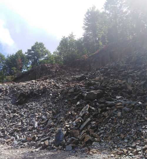 viber_image_2021-02-20_13-59-22